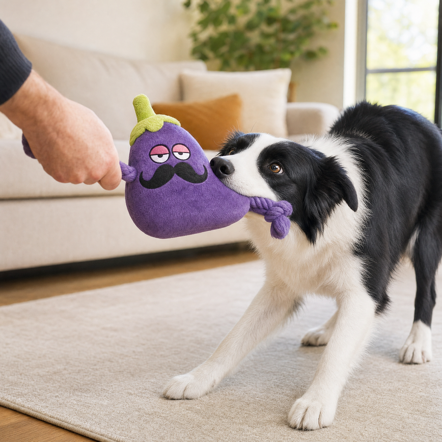 Border collie gripping the rope tab of the Chewvox aubergine plush tug toy