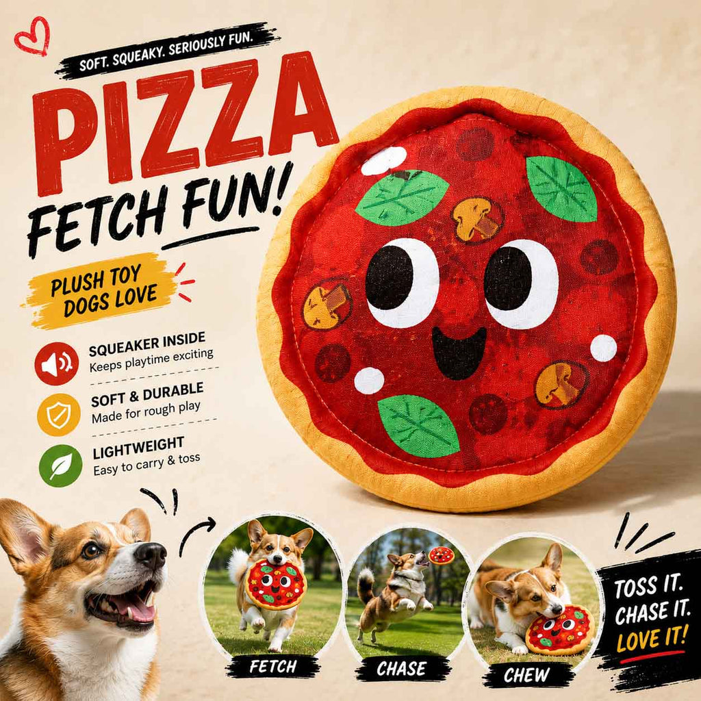 Signore Pizza Face Plush Fetch Dog Toy