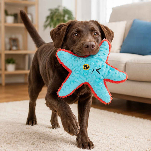 Carl Starfish Plush Tug Dog Toy
