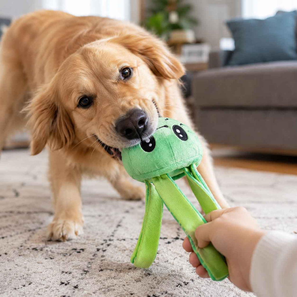 Galactopus Super Chewer Durable 2-in-1 + Tug Dog Toy