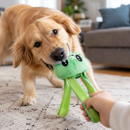 Galactopus Super Chewer Durable 2-in-1 + Tug Dog Toy