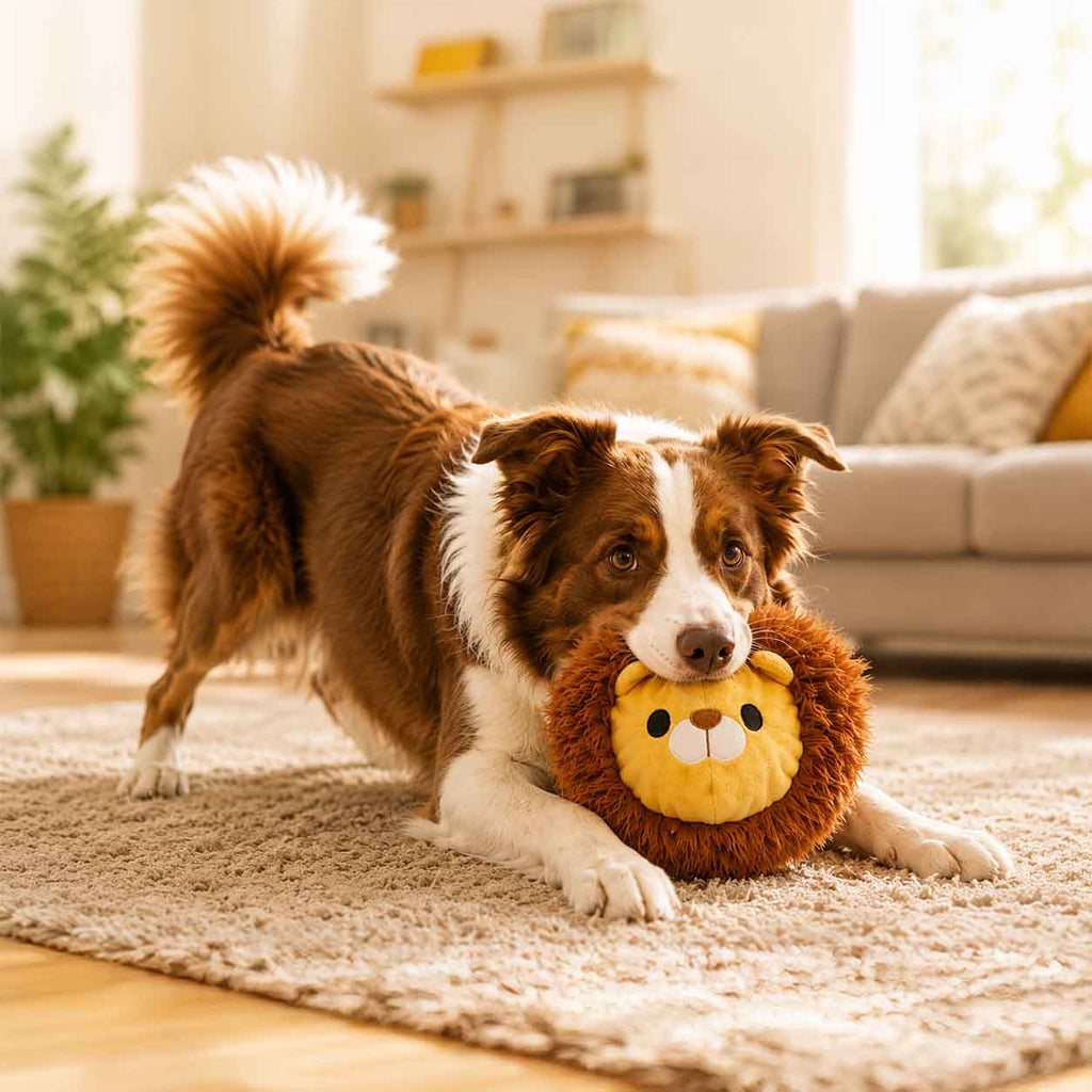 Lionel Lion Super Chewer Durable 2-in-1 + Fetch Dog Toy