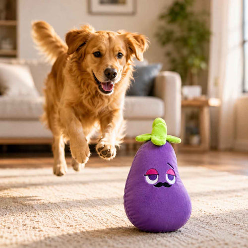 Big Babbo Plush Tug Dog Toy