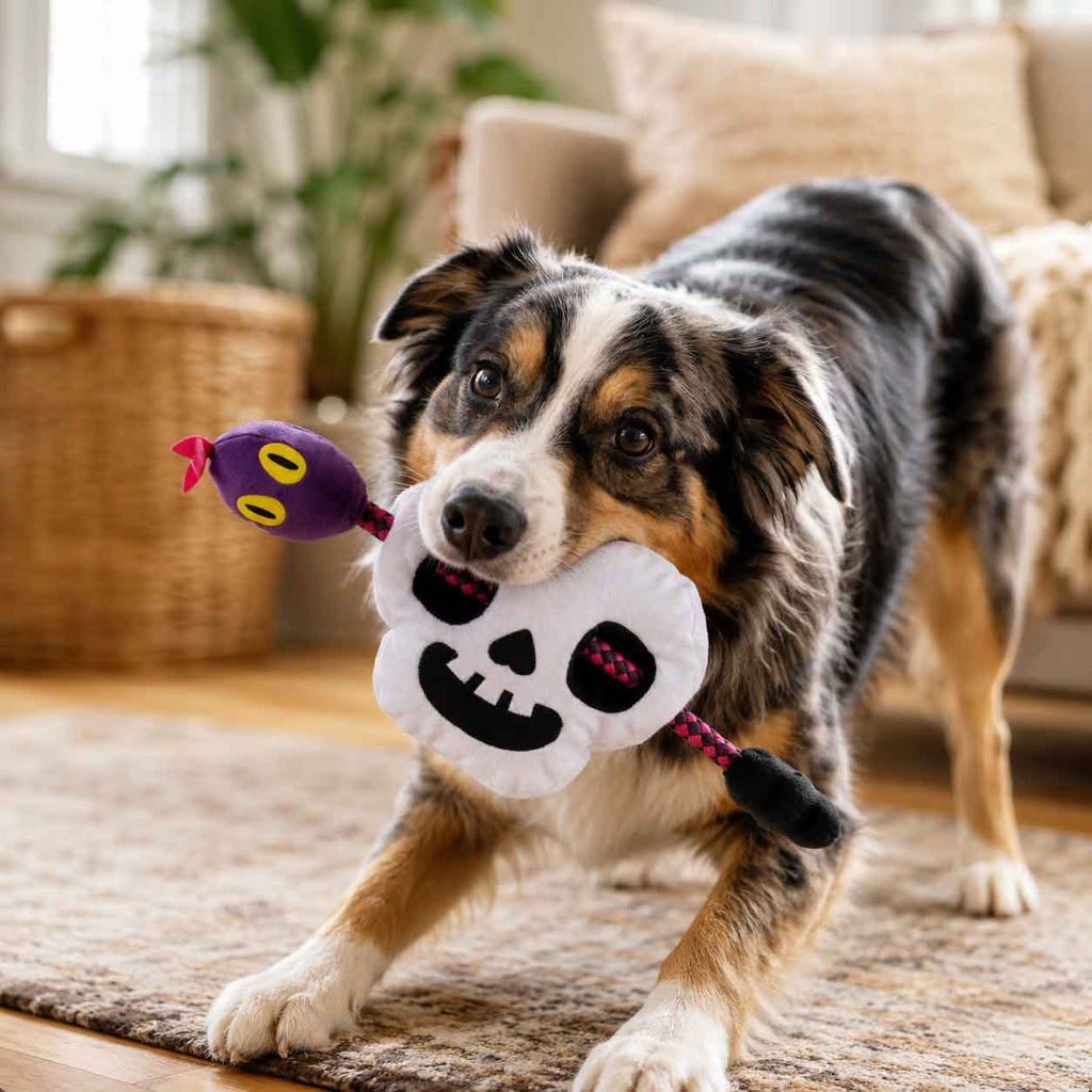 Sssskull Plush Extra-Large + Tug Dog Toy