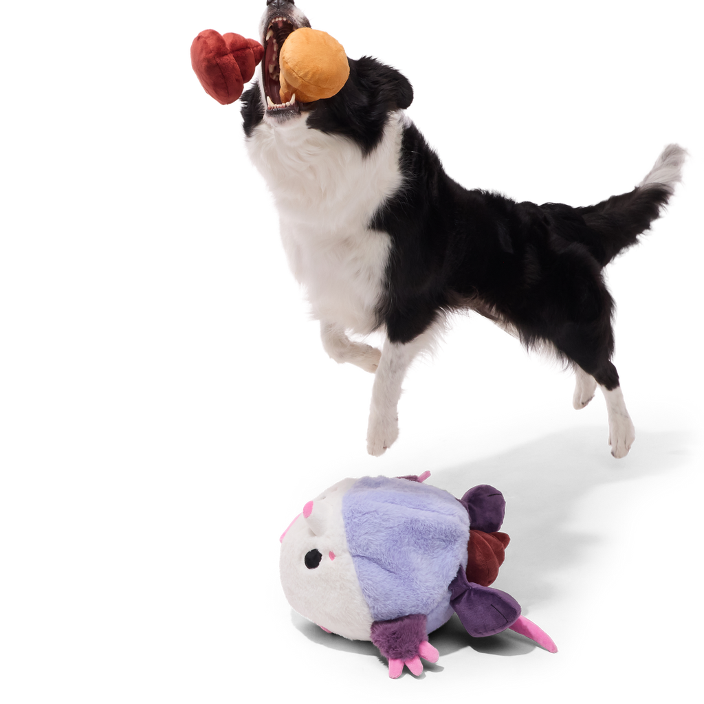 Poopers the Opossum Plush Extra-Large + Multi-Part + Enrichment Dog Toy