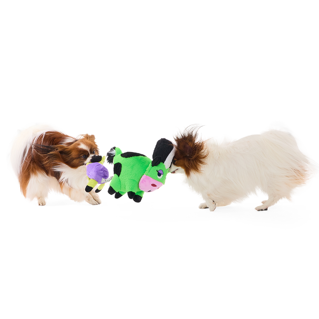 Bertha of Frankenstein Plush Extra-Large + Tug + Enrichment Dog Toy
