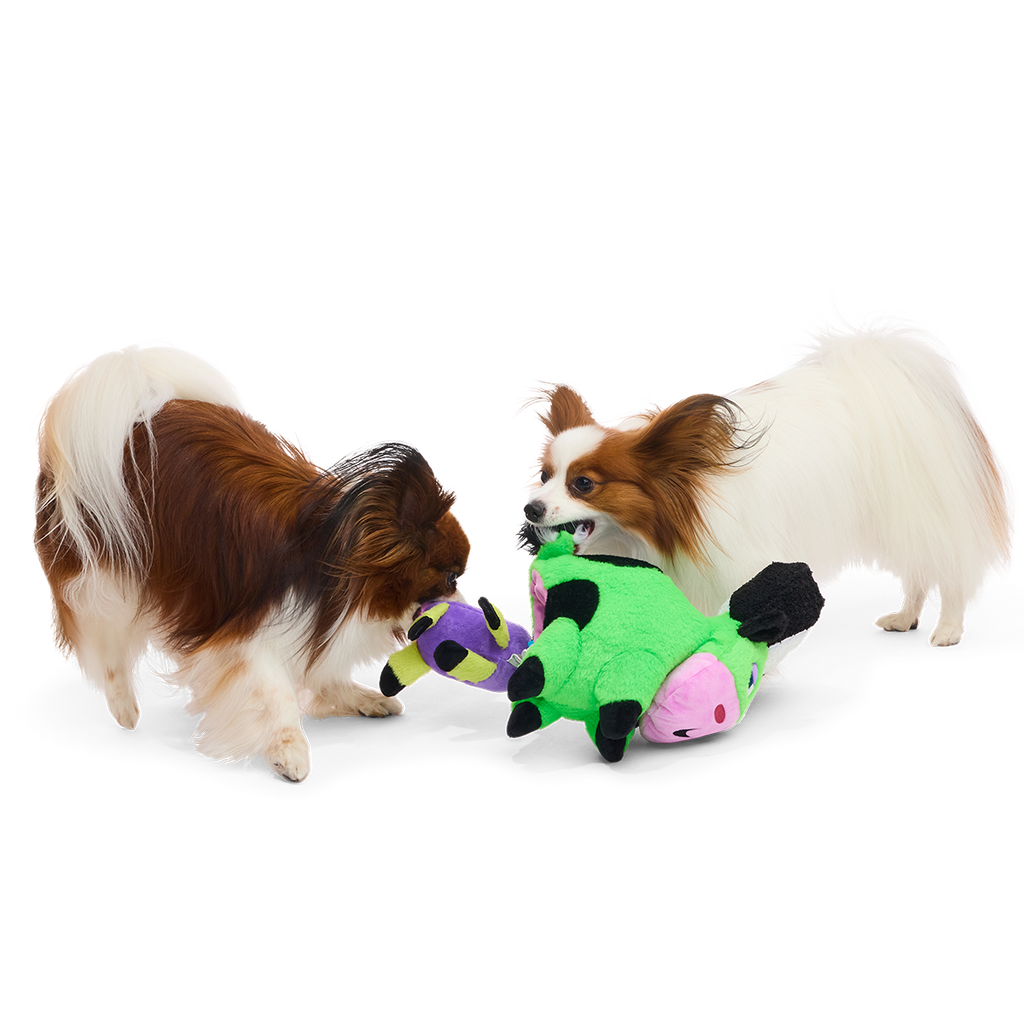Bertha of Frankenstein Plush Extra-Large + Tug + Enrichment Dog Toy