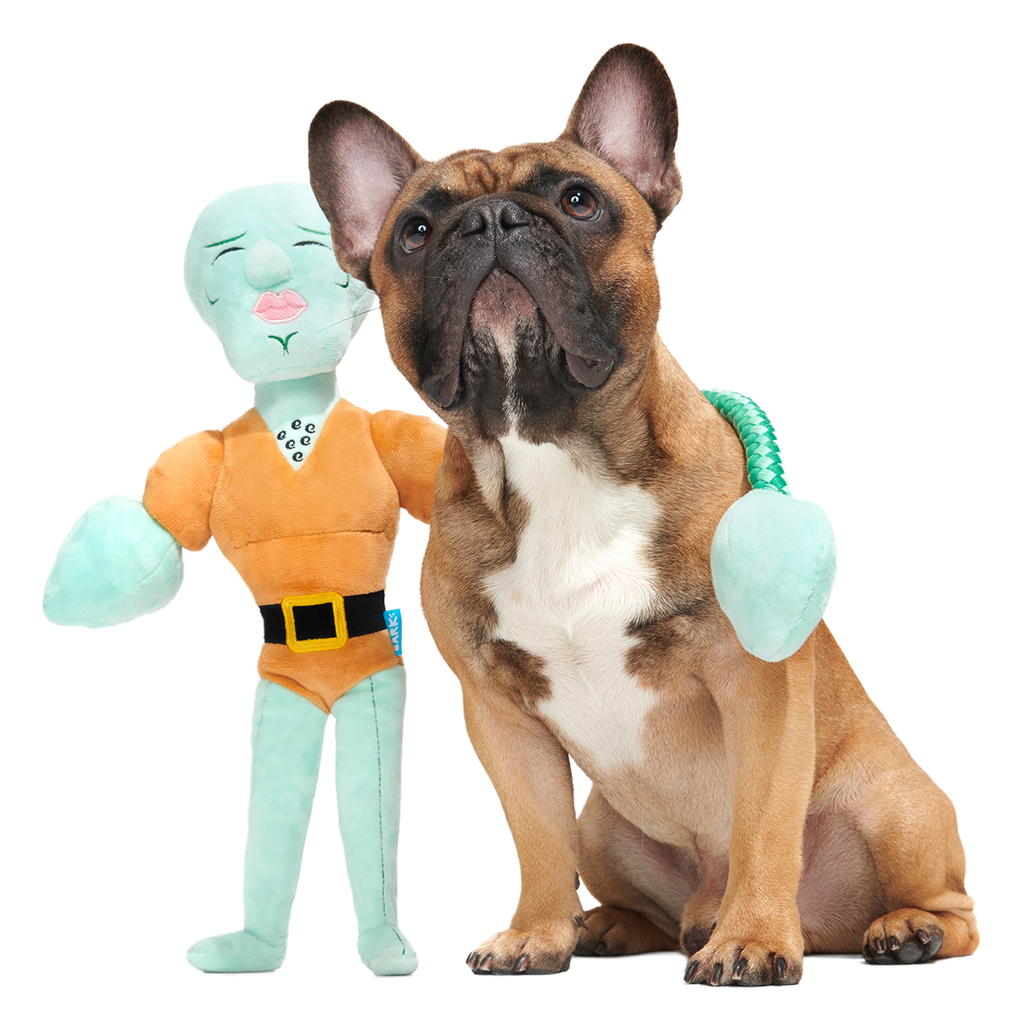 Handsome Squidward Plush Extra-Large + Tug Dog Toy