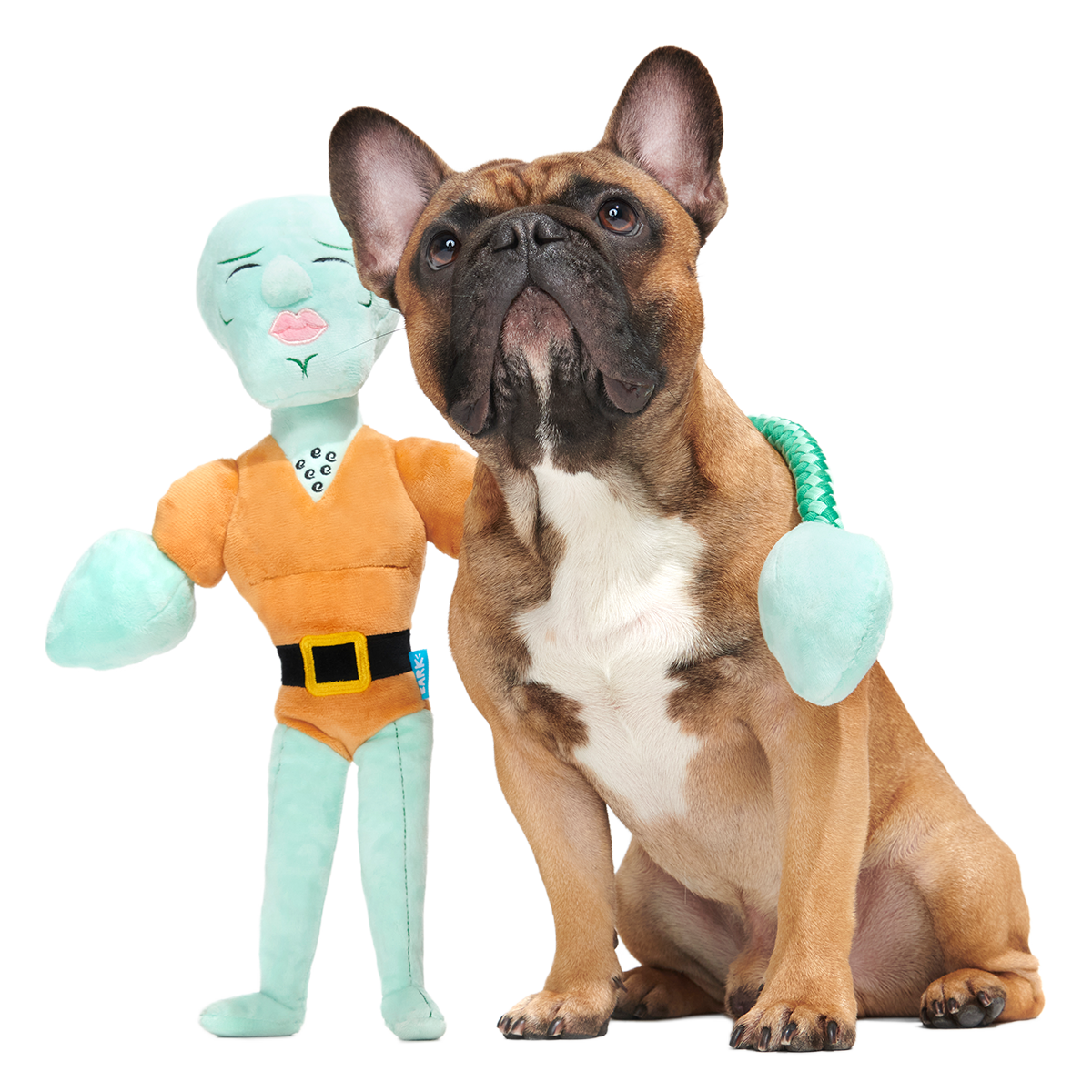 Handsome Squidward Plush Extra-Large + Tug Dog Toy