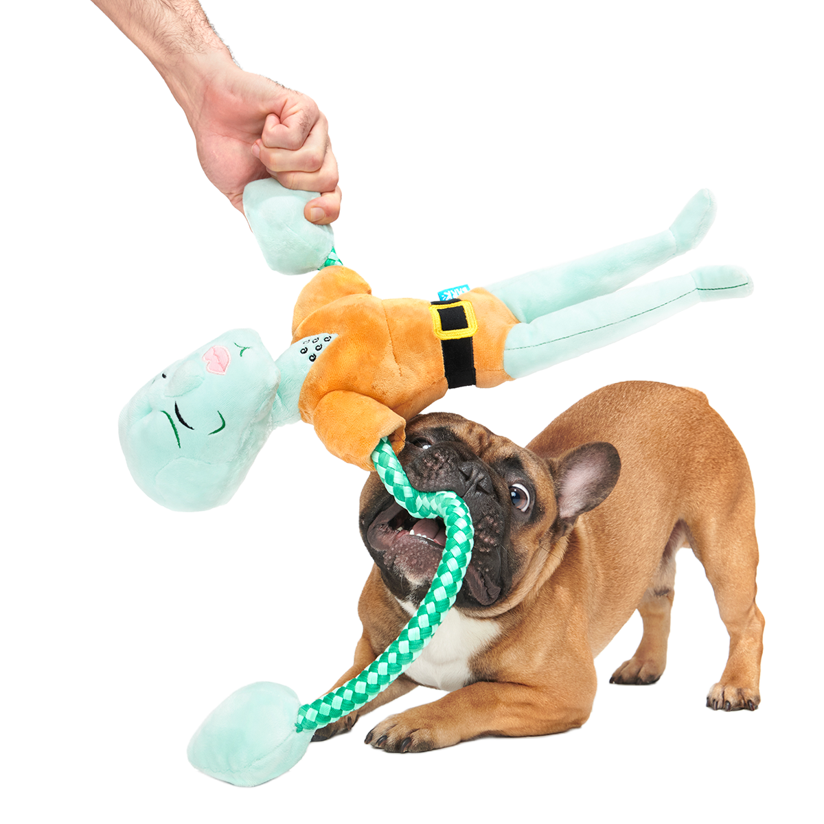 Handsome Squidward Plush Extra-Large + Tug Dog Toy