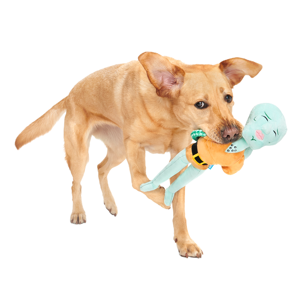 Handsome Squidward Plush Extra-Large + Tug Dog Toy