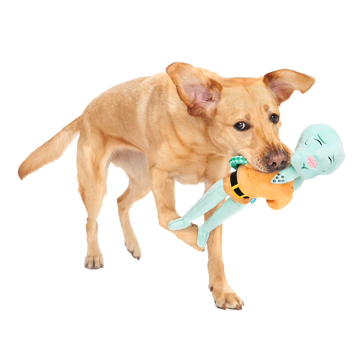 Handsome Squidward Plush Extra-Large + Tug Dog Toy