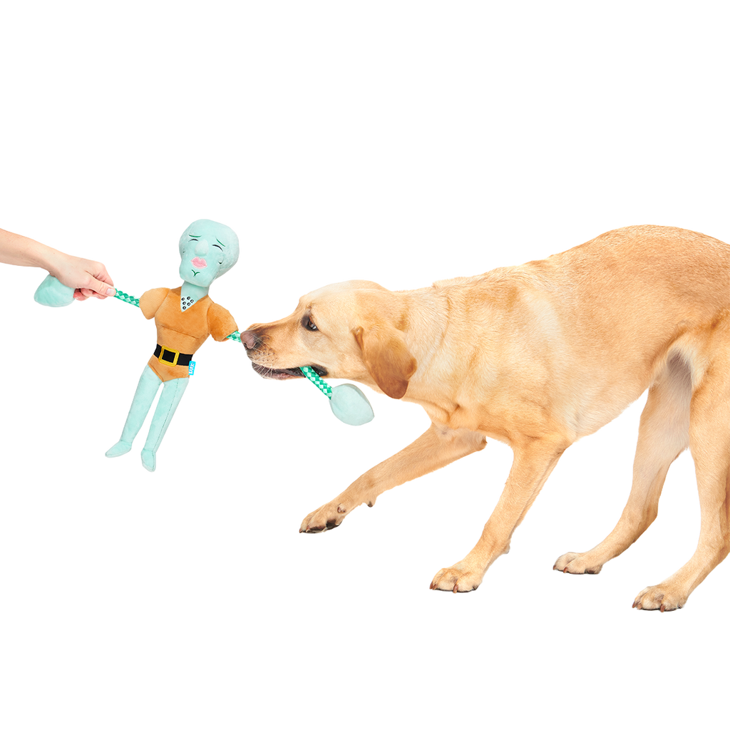Handsome Squidward Plush Extra-Large + Tug Dog Toy
