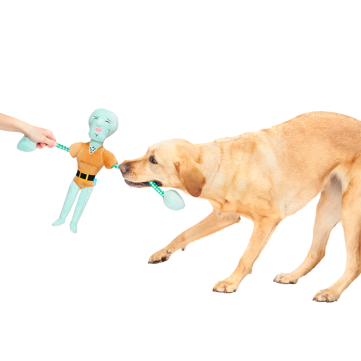 Handsome Squidward Plush Extra-Large + Tug Dog Toy