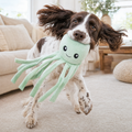 Springer spaniel shaking the Chewvox octopus plush tug toy