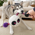 Husky tugging on the rope of the Chewvox extra large skull plush dog toy