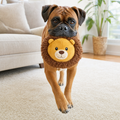 Boxer carrying the Chewvox lion fetch dog toy